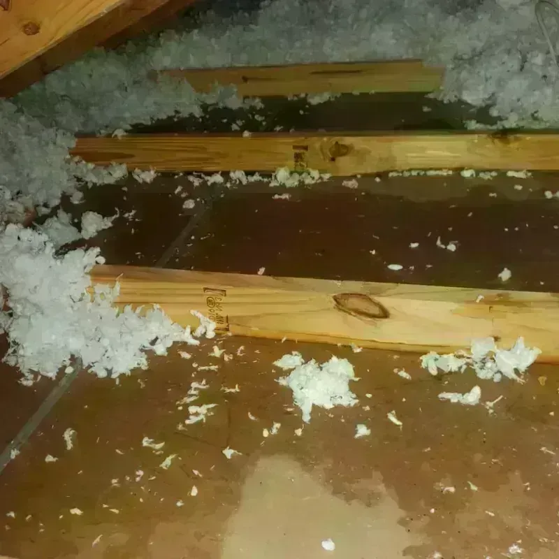 Attic Water Damage in Jenkins, KY